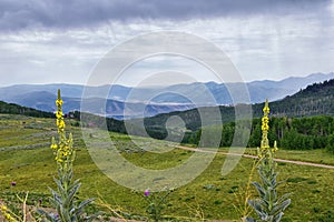 Guardsman Pass views of Panoramic Landscape of the Pass, Midway and Heber Valley along the Wasatch Front Rocky Mountains, Summer F