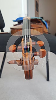 Guarneri on the chair