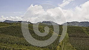 Guatemala - landscape with fields photo