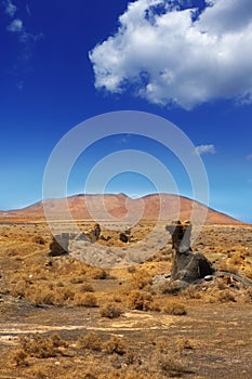 Guatiza teguis stones volcanic Lanzarote