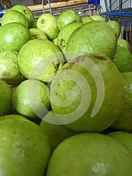 Guava is favored by people