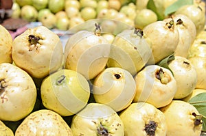Guava fruit or Amrood Image