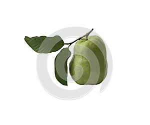 Guava fruit isolated on white the background
