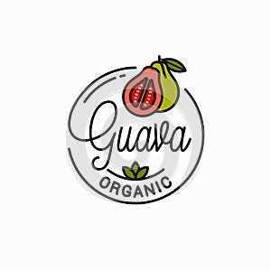 Guava fruit logo. Round linear of guava slice