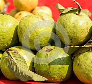 Guava fruit