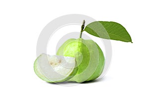 Guava, fruits and guava leaves, fruits with high vitamin C help strengthen the immune system.