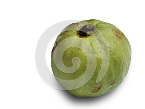 Guava, green organic ripe fresh exotic tropical fruit isolated cut out