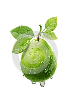 Guava is green on a white background