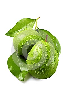 Guava is green on a white background