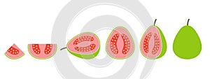 Guava logo. Isolated guava on white background