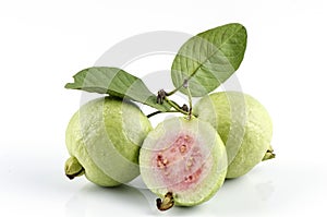 Guava (Psidium guajava Linn.) photo