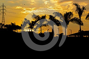 Guayaquil Outskirt Sunset Scene