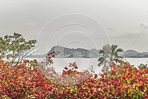 Guayas River View from Puerto Santa Ana Guayaquil Ecuador photo