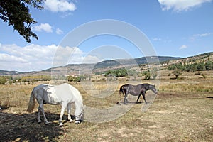 Gudar mountains,Teruel,Spain photo