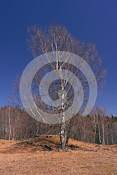 In the Gudbrandsdalen Valley