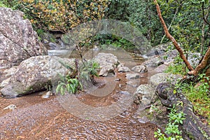 Gudu River pools in the Gudu forest after heavy rain