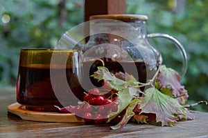 Guelder rose Viburnum red berries tea still life on table in green garden background. Healthy hot drink benefits