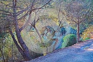 Guell Park, Barcelona, Spain