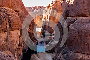 Guelta d`Archei waterhole near oasis, camels dringing the woater, Ennedi Plateau, Chad, Africa.