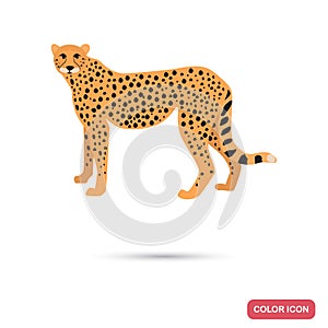 Guepard color flat icon for web and mobile design