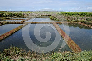 Guerande