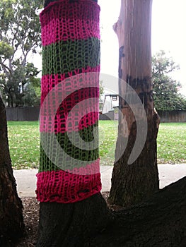 Guerrilla knitting on tree