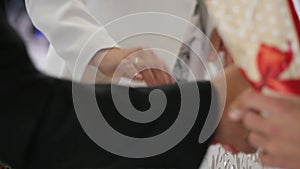 Guests shake hands of bridegrooms during congratulations with marrige.