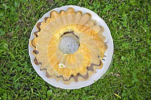 Gugelhupf in green grass, very tasty edible two-colored Czech sweet cake called babovka, ready to eat