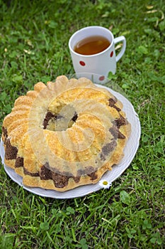 Gugelhupf in green grass, very tasty edible two-colored Czech sweet cake called babovka, ready to eat, daisy flower, tea break