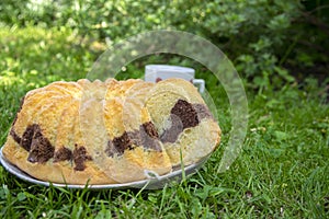 Gugelhupf in green grass, very tasty edible two-colored Czech sweet cake called babovka, ready to eat, daisy flower, tea break
