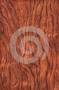 Guibourtia (wood texture)