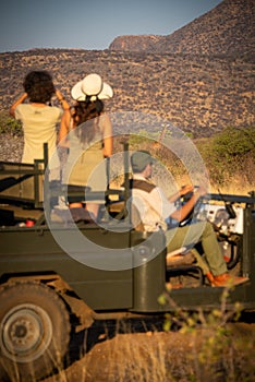 Guide and brunettes watch giraffe in bush