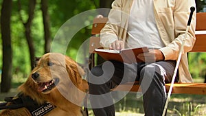Guide dog guarding elderly blind man reading book in Braille sitting in park
