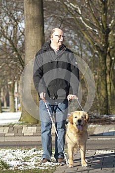 Guide dog is helping a blind man