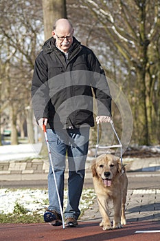 Guide dog is helping a blind man photo