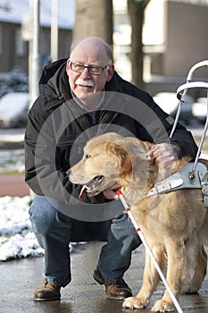 Guide dog is helping a blind man