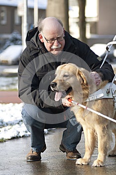 Guide dog is helping a blind man photo