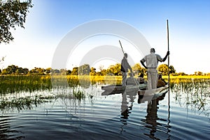 Guided Okavango Trip, Dugout Canoe, Botswana