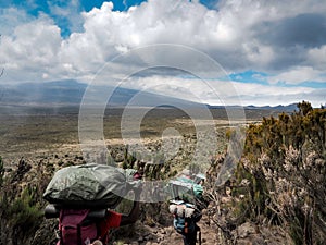 Guides porters and sherpas carry heavy sacks as they ascend mount kilimanjaro the tallest peak in africa.