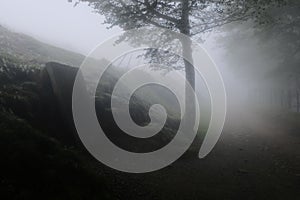 Guiding stone on an ancient road