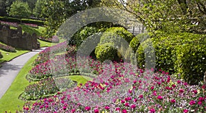 Guildford Castle Grounds ,Surrey England