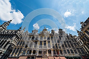 Guildhalls on the Grand Place of Brussels in Belgium