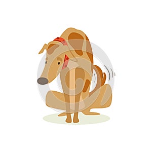 Guilty Brown Pet Dog Being Scolded , Animal Emotion Cartoon Illustration