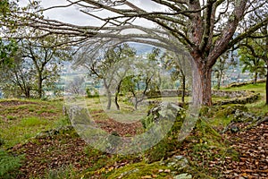 Citania de Briteiros Iron Age photo