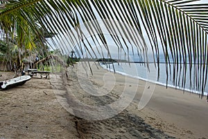 Guinea Boke province beach Palm rain