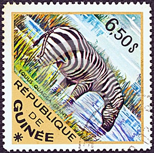 GUINEA - CIRCA 1975: A stamp printed in Guinea from the `Wild Animals` issue shows a Grant`s Zebra Equus quagga granti