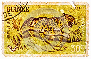 Stamp printed in Guinea from the Wild Animals issue shows a Leopard Panthera pardus