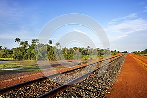 Guinea Conakry Kamsar morning jungle in view of railway from mining dian Dian photo