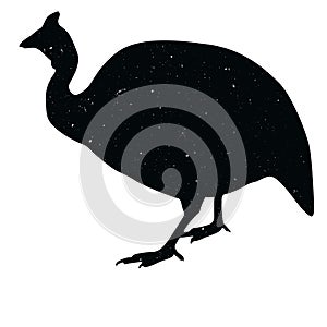 guinea fowl shadow animal icon silhouettes isolated on dark black graphical in white