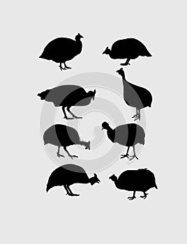 Guinea Fowl Silhouettes